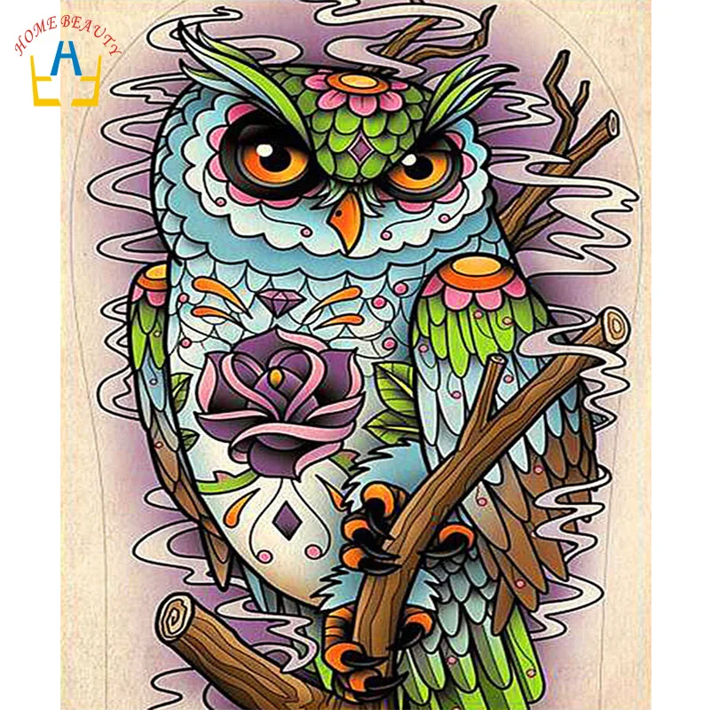

HOME BEAUTY color owl diy digital painting modular picture for drawing by numbers animal paintings on the wall home decor E996