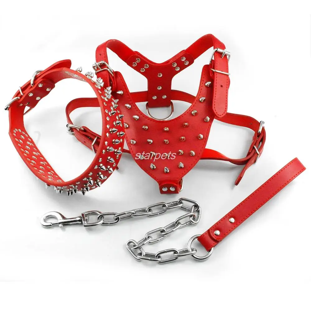 what kind of dog is on the petsmart commercial 2019