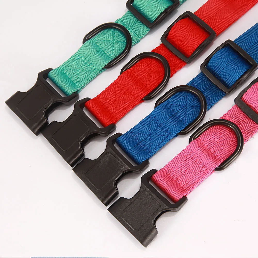 DOG COLLAR 6