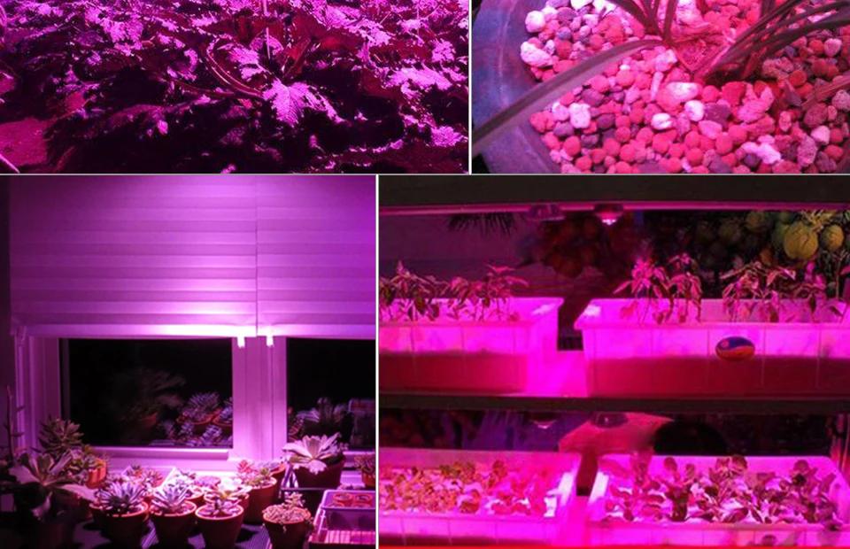 grow led cob chip (15)