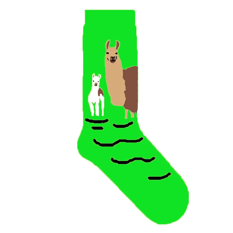 1q2