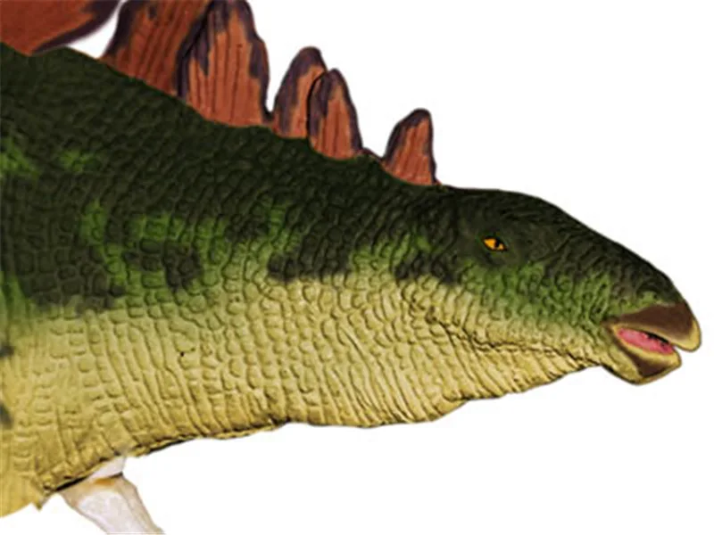 4d динозавра Юрского периода Стегозавр головоломки сборки Игрушка-скелет животного орган анатомический медицинский преподавания модель
