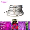 New 5730/5630 Plant Grow SMD LED Strip Light  5m/20W  12V 300LED 5R1B  Non-Waterproof Fast Shipping ► Photo 1/2