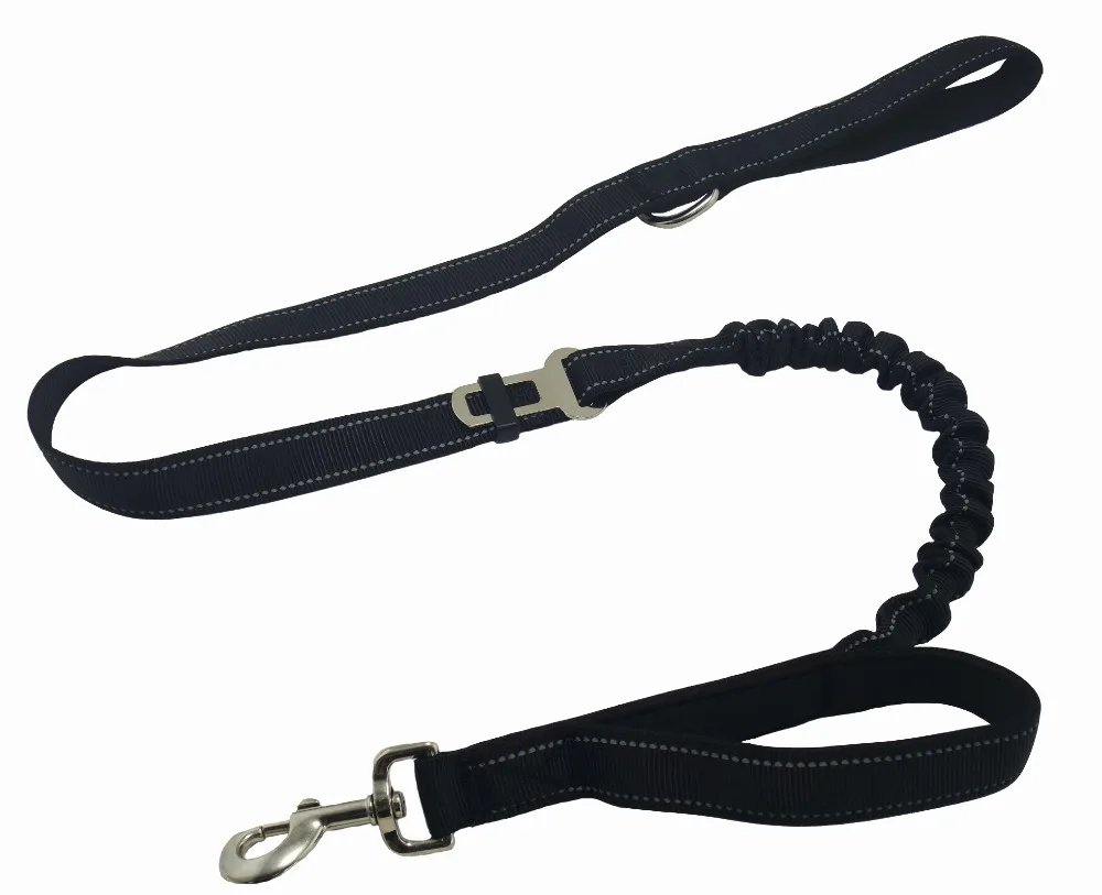 dog leash