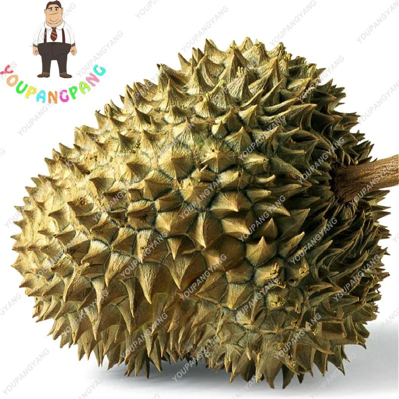 20pcs A Delicious Bonsai King Tropical Fruit Trees Giant Garden Plants