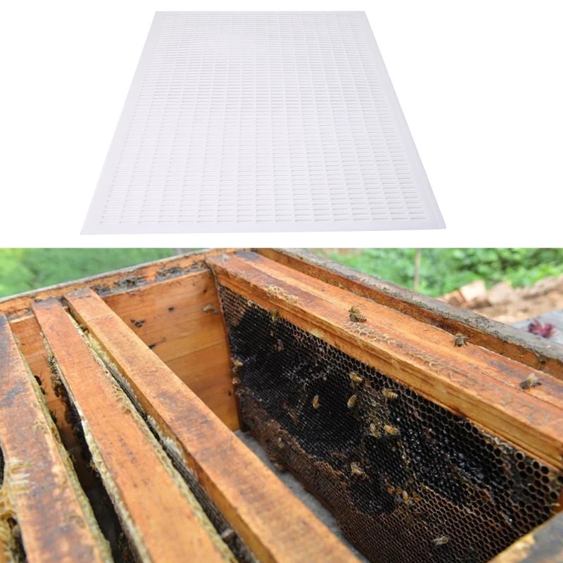 

Pro Beekeeping Queen Bee Excluder Trapping Grid Net Equipment Apiculture Tools