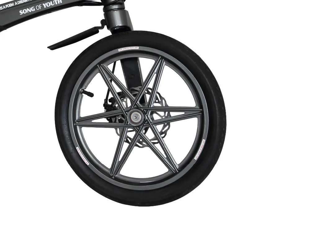 Cheap electric bicycle magnesium alloy folding bike 16inch mini size lithium battery 36v 250w light weight disc brake CE certificated 16