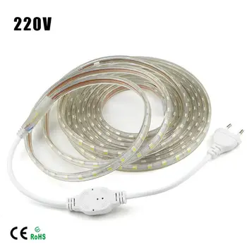 

AC220V SMD 5050 Flexible LED Strip Light 60leds/m Waterproof LED Tape Light With Power Plug 1M/2M/3M/5M/6M/7M/8M/9M/10M/12M/20M