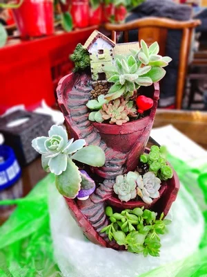 1pcs bonsai planter pot Fashion cartoon house flower pots resin large garden flowerpot garden plant decoration dropshipping 6 (7)