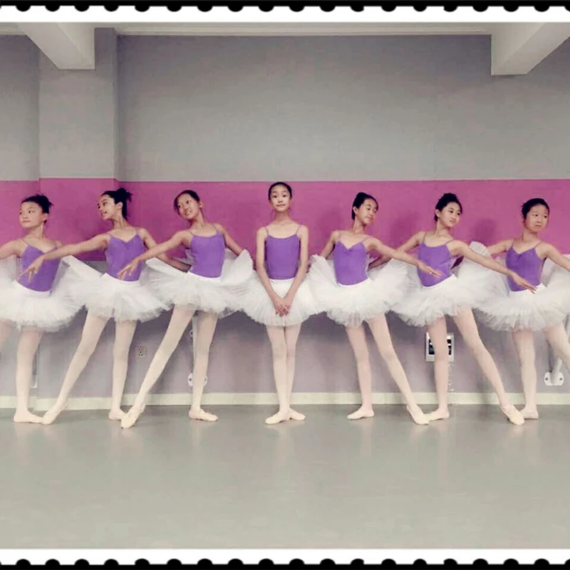Adult Ballet Leotard Tutu Skirt Female Swan Lake Dance Costumes Professional Ballet Tutu Pancake Skirts for Women 6 Layers