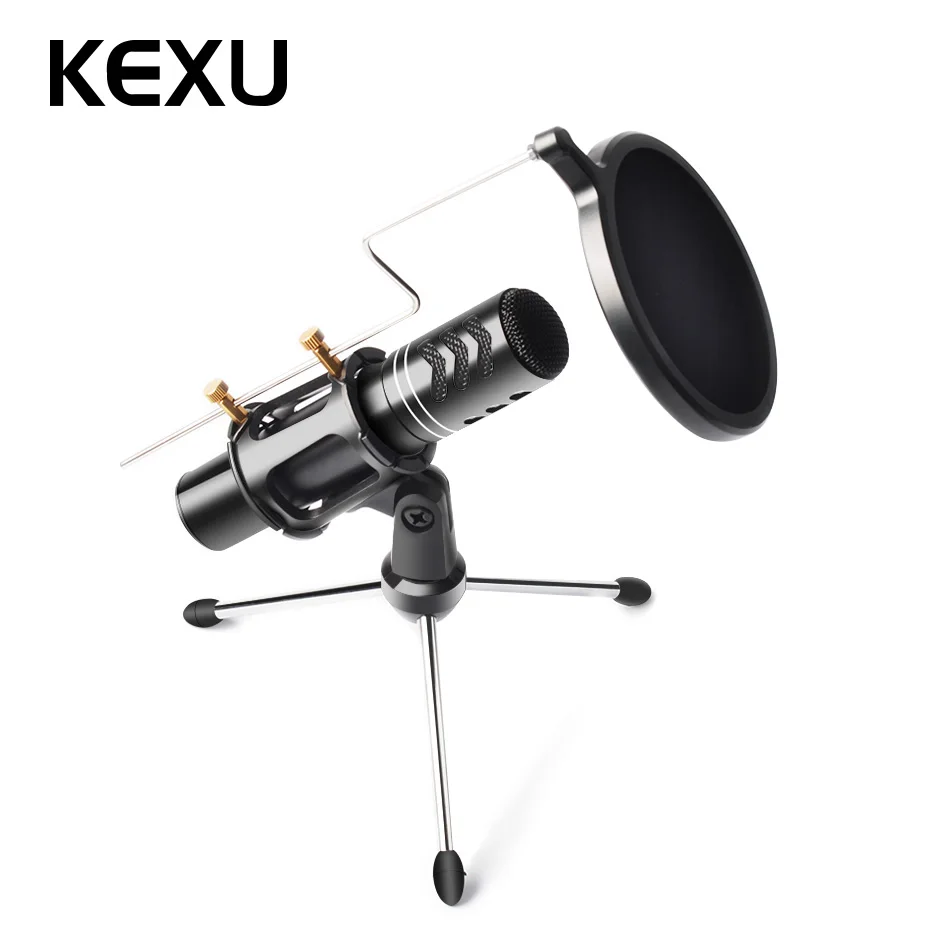 Buy Professional Condenser Microphone, Plug &Play Home