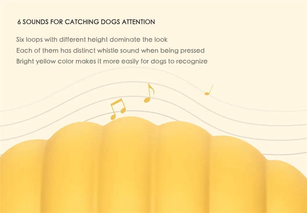 51LpAfc89WL._SL1200_