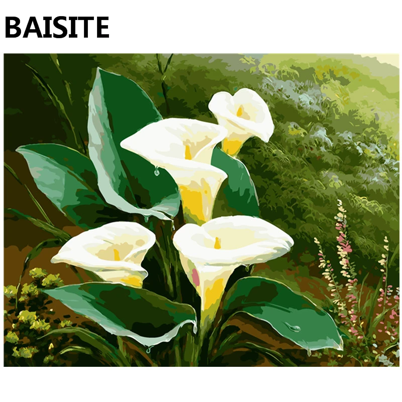

BAISITE DIY Oil Painting By Numbers Frameless Pictures On Canvas Modern Wall Pictures Art For Living Room Home Decoration E813