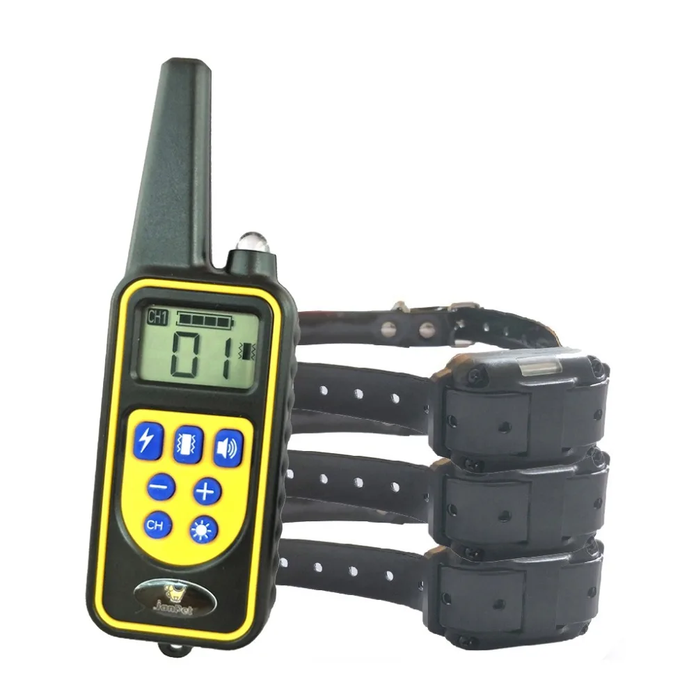 JD880-3 training 3 dogs