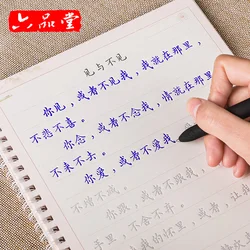 Liu PinTang 2 – cahier de pratique de calligraphie, pièces/ensemble stylos, écriture régulière, pour adulte, réutilisable, Nalan Xingde / Cangyang Gyatso 