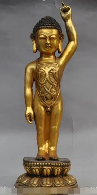 

S01291 17"Tibet bronze gilt young sakyamuni buddha Finger Pointing to day & Land statue