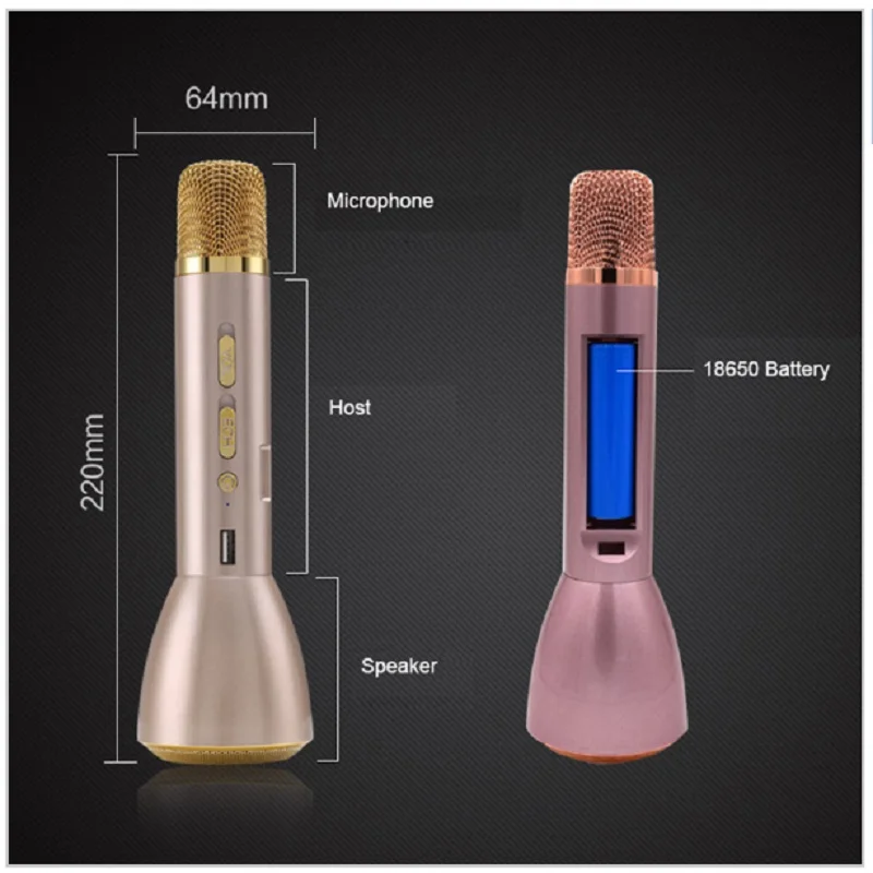 mic and speaker price