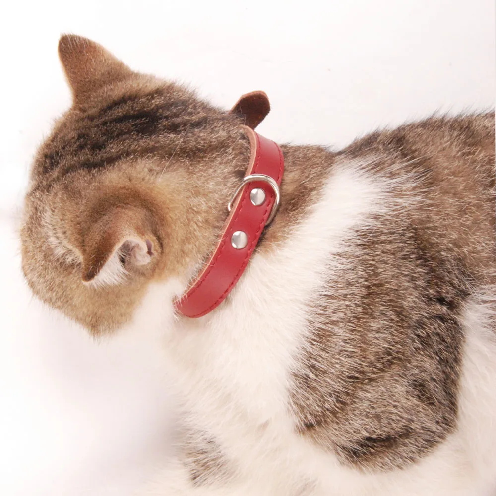 Dog Collars JW0030-5