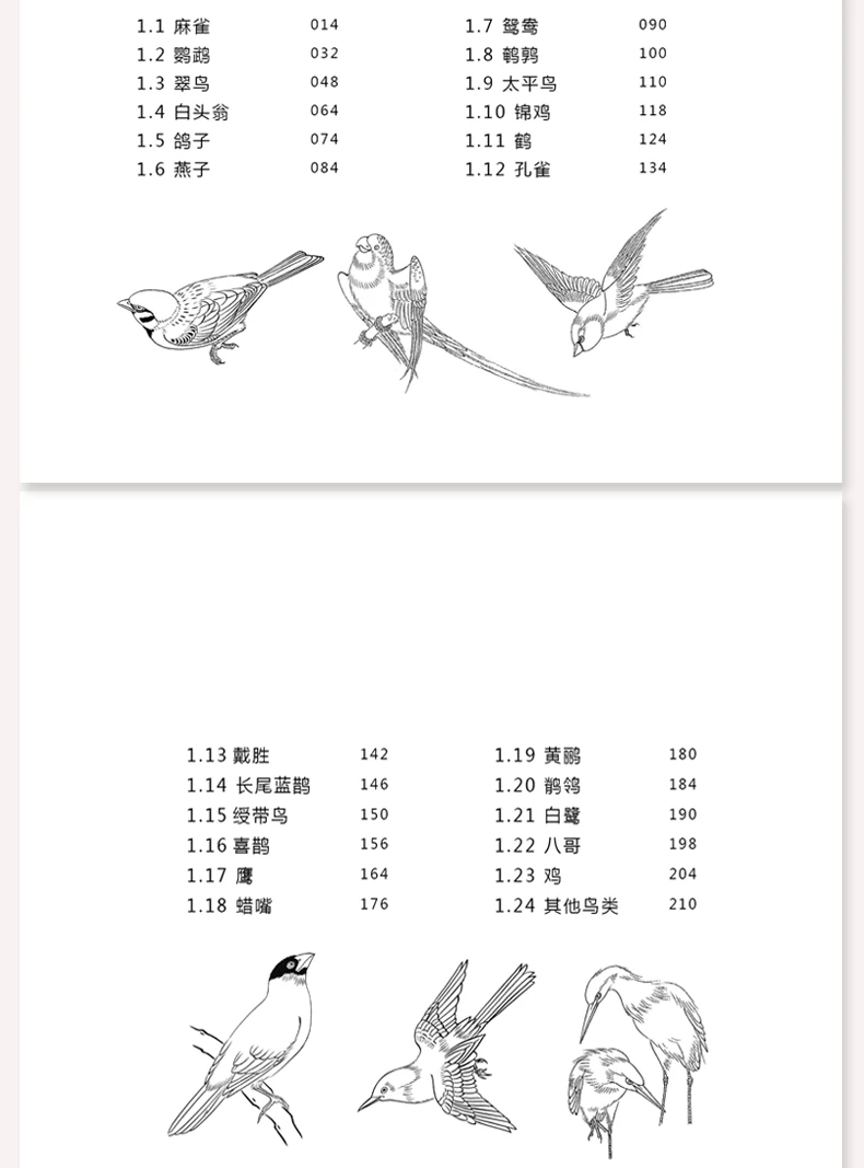 Белый Рисунок случае 5000, животных товары для птиц китайский горчица запись книга классический линии учебник живописи