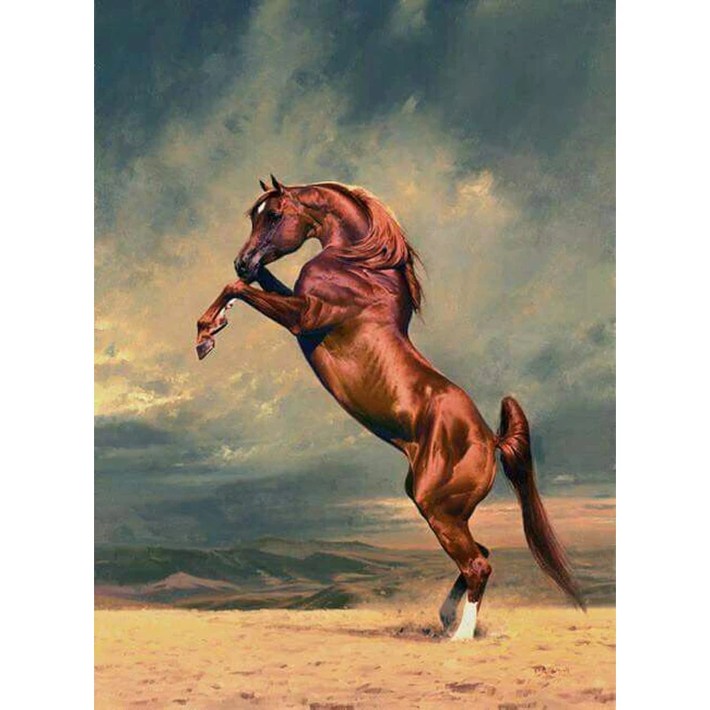 Пегий ахалтекинец. Конь встал на дыбы. Порода лошади арабская мустанг. Конь встал на дыбы. Подниматься на дыбы.