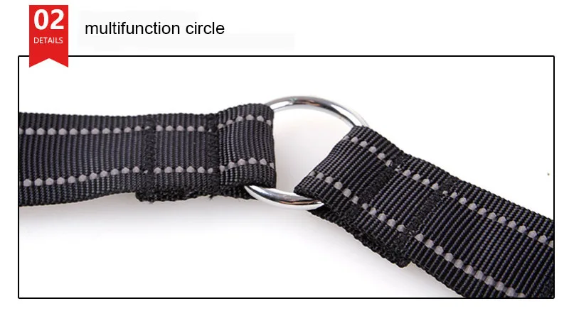 SYDZSW Dual Dog Leash No Tangle Leash Double Dog Walker with Shock Absorbing Bungee Pet Leash Splitter for Two Dogs7