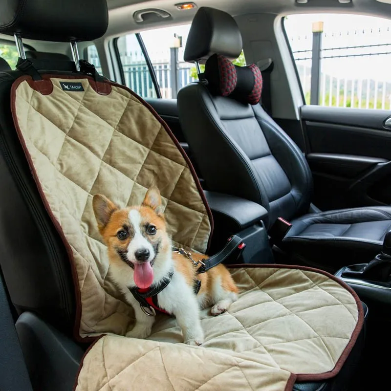 HTB1NsH2MVXXXXcAXVXXq6xXFXXXl