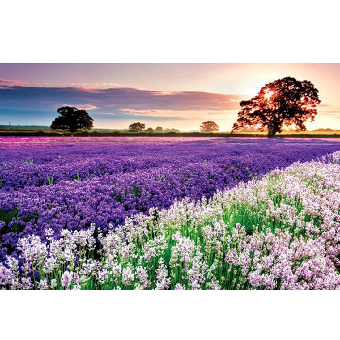 

Rowsfire 1000Pcs Jigsaw Puzzle Children Development and Education Toys Support Kid Adult Playing Kits