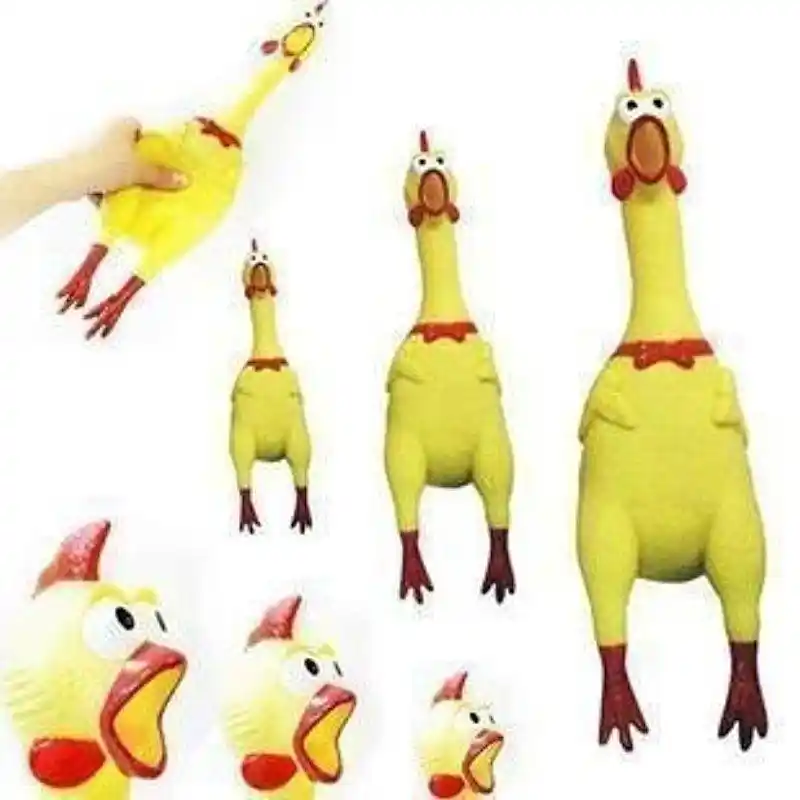 small rubber chicken