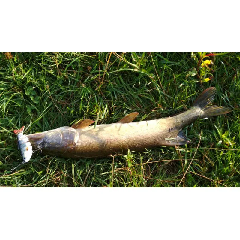 fishing wobblers lifelike fishing lure 6 segment