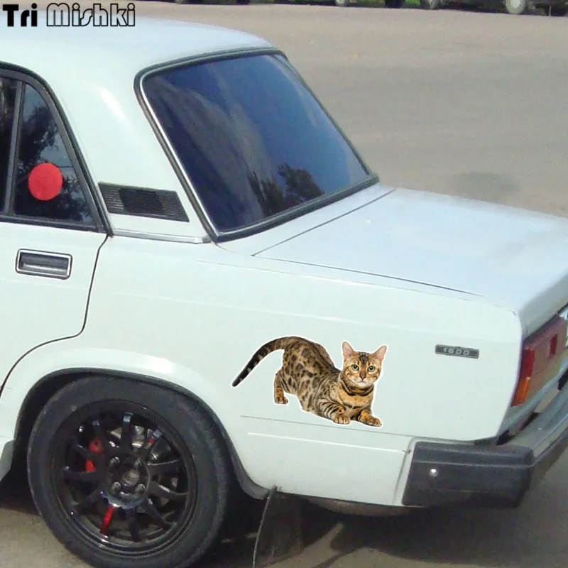 Tri Mishki WCS629 11x21 см Бенгальская кошка Сибирская забавные автомобильные наклейки