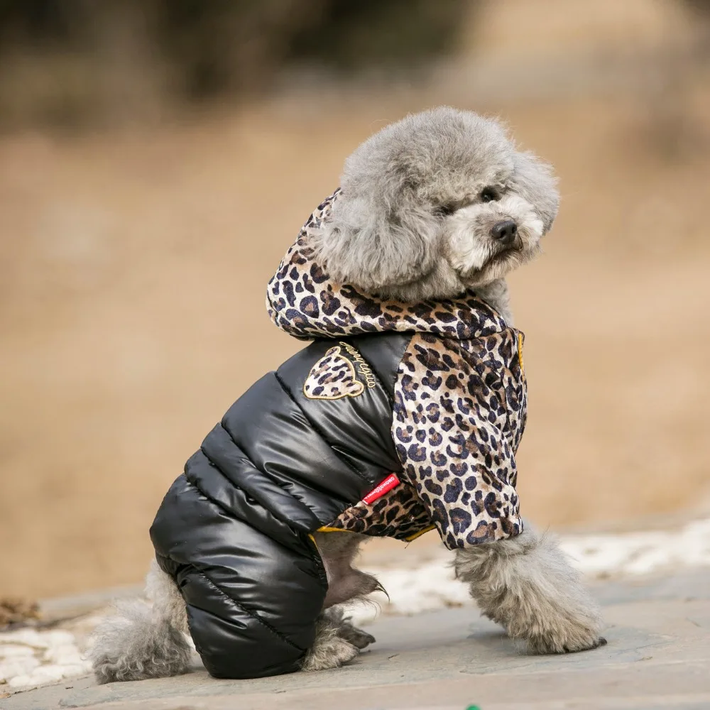 HTB1cTJ8SFXXXXbFXFXXq6xXFXXXR