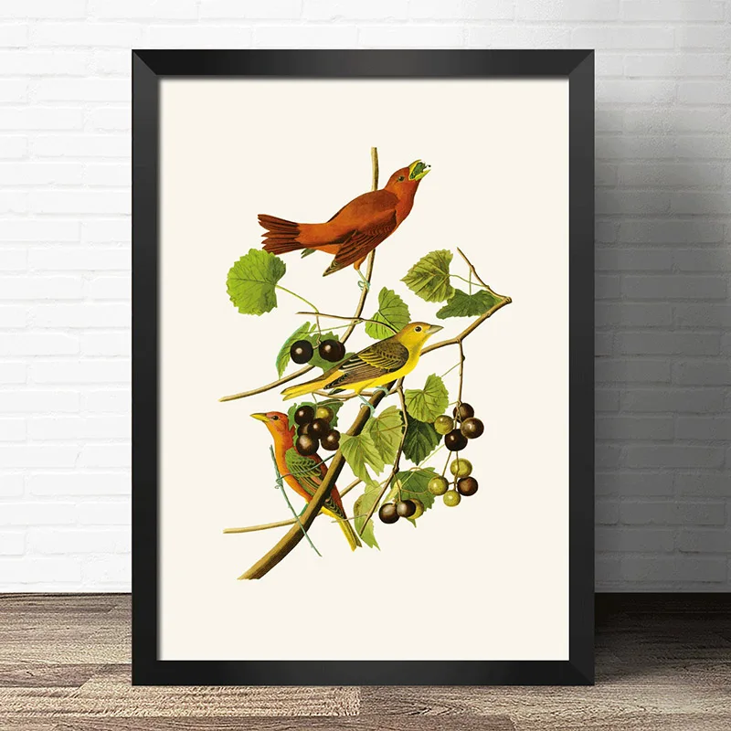

COSY MOMENT Flower Species Plant Wall Poster and Print Biology Education Wall Picture For Kid Room ZS171