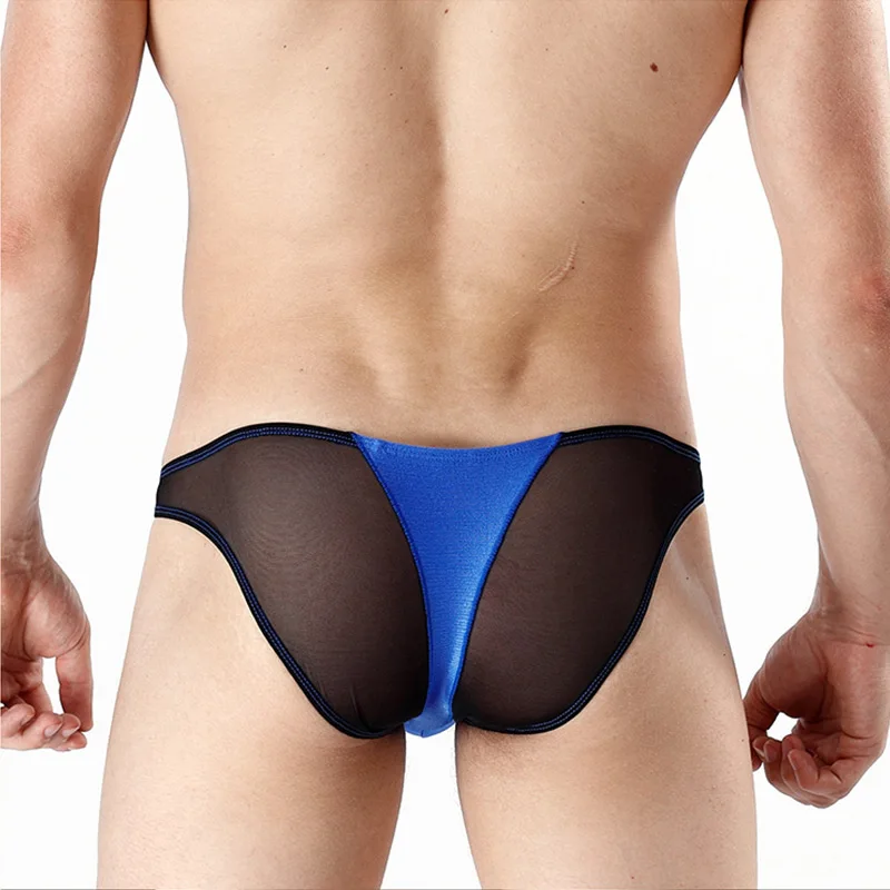 Sexy Gay Underwear Men Briefs Shorts Homme Breathable Low-waist Panties Man Transparent Mesh Gauze Lingerie Cueca Men Underpants