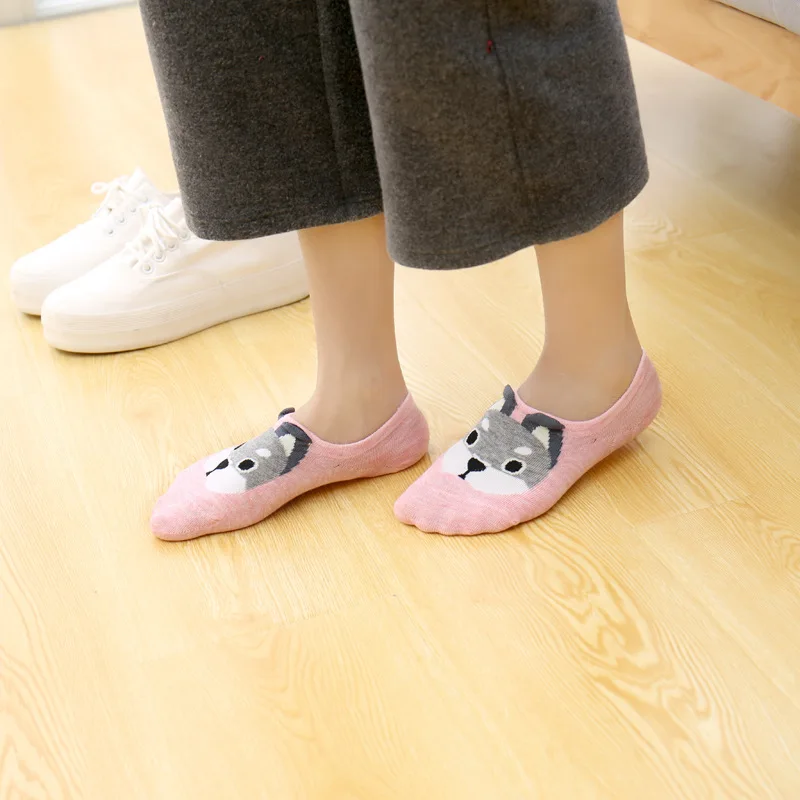 4081829764_368307467