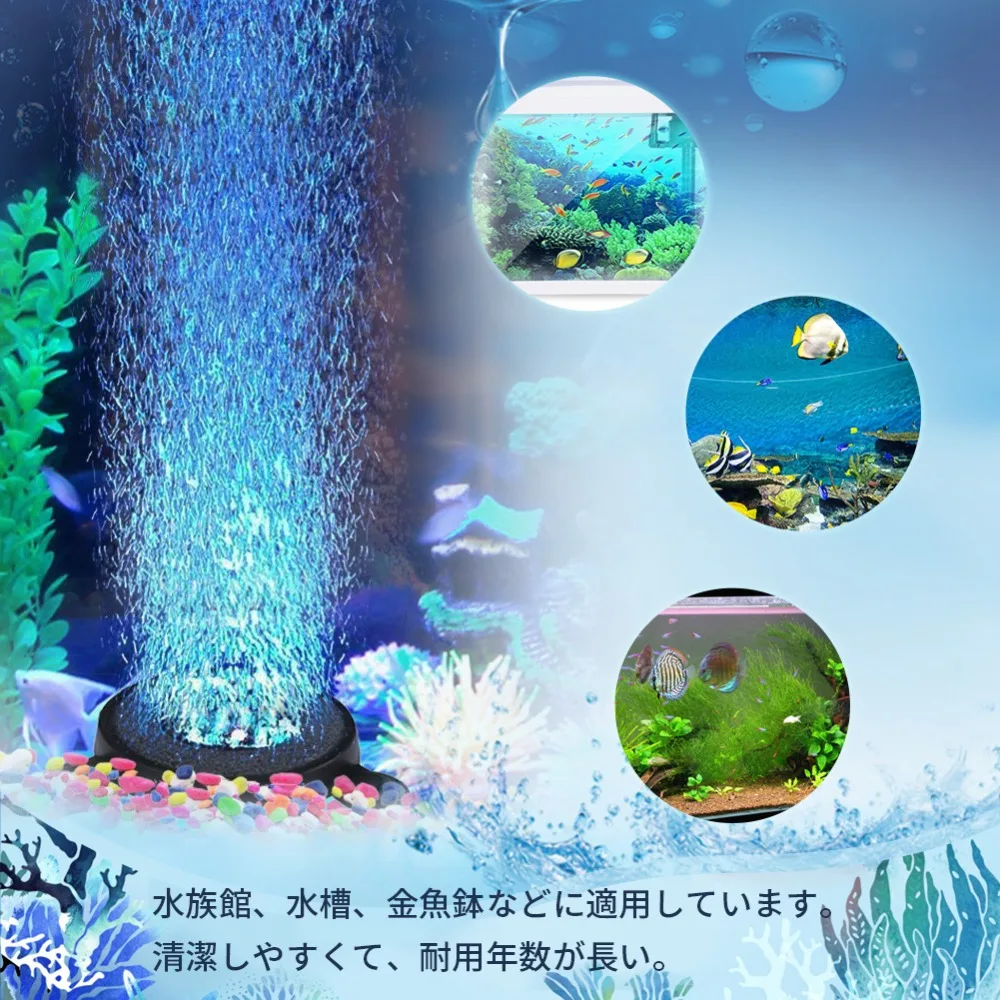 CWB00026-A-6
