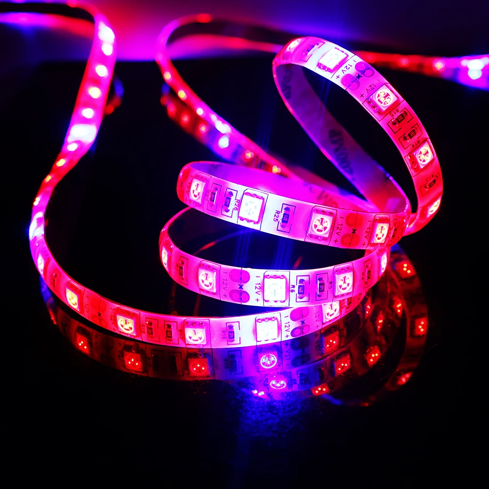 CHINCOLOR LED Plant Grow Lights 5050 DC12V 300leds 31 41 51 Red Blue light for Greenhouse Hydroponic Full Spectrum IP20 DA (9)