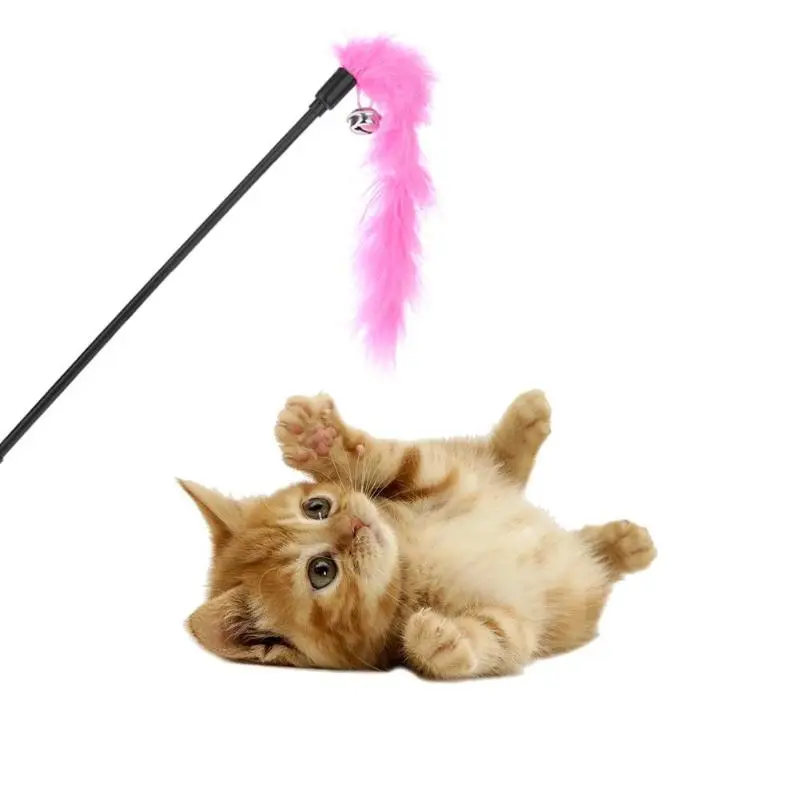 

Premium Pet Interactive Toy Colorful Turkey Feathers Tease Cat Stick Interactive Cat Toy Feather Toys Pet Supplies Random Color