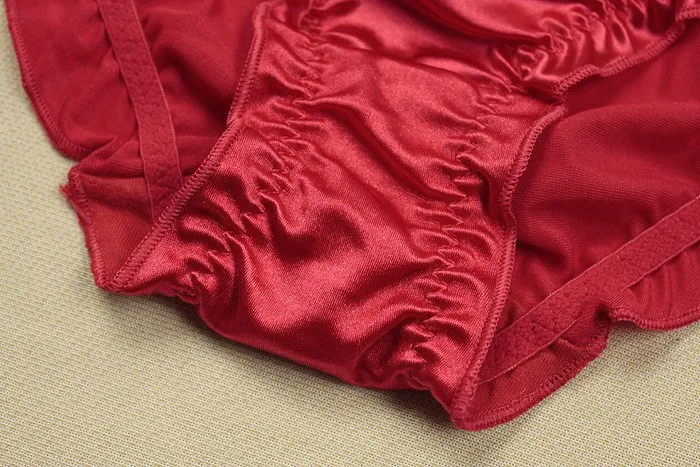 nylon briefs-2