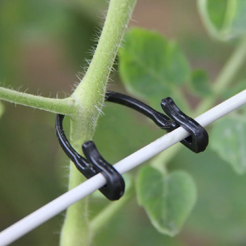 Лозы привязанные пряжки фиксированный Крепежный крюк сельскохозяйственная теплица приспособление для овощей сад искусственное растение 100 шт