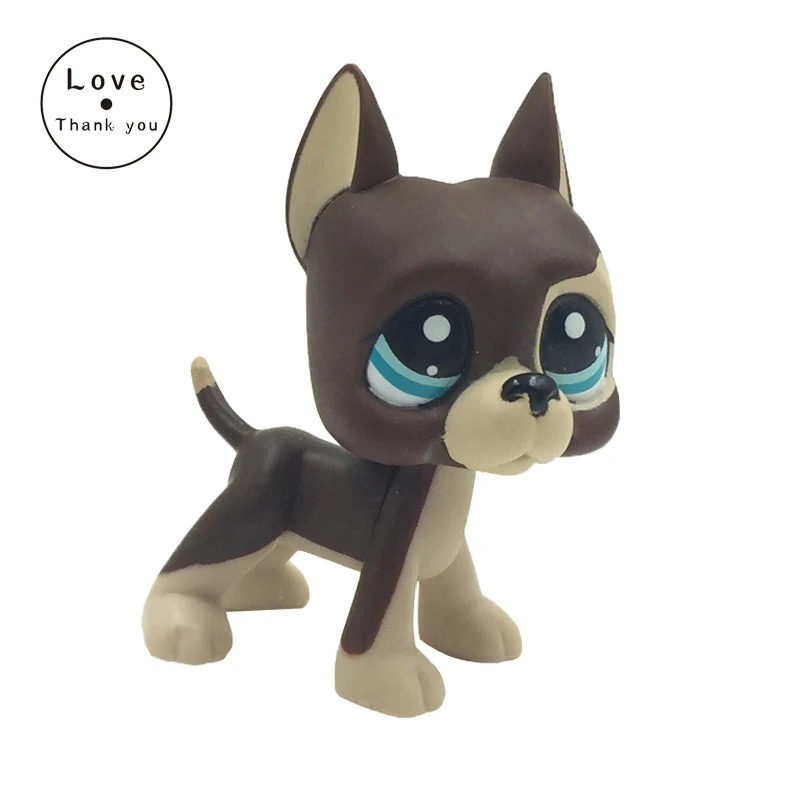 pet Rare Original Animal Dog Blue Eyes Brown GREAT DANE 817 Bis Free Shipping
