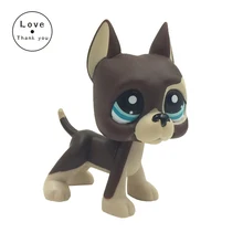 pet Rare Original Animal Dog Blue Eyes Brown GREAT DANE 817 Bis Free Shipping