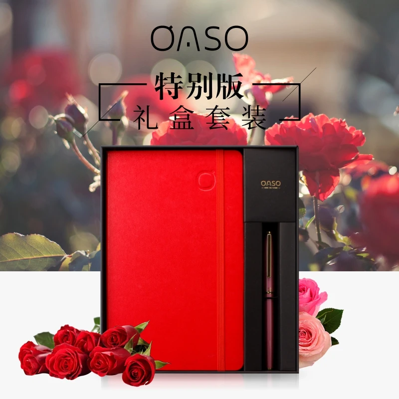 

OASO S117 White Black Pink Fountain Pen Set High-end 0.38mm 0.5mm Metal Ink Pens for Student/teacher/business Gift Stationery