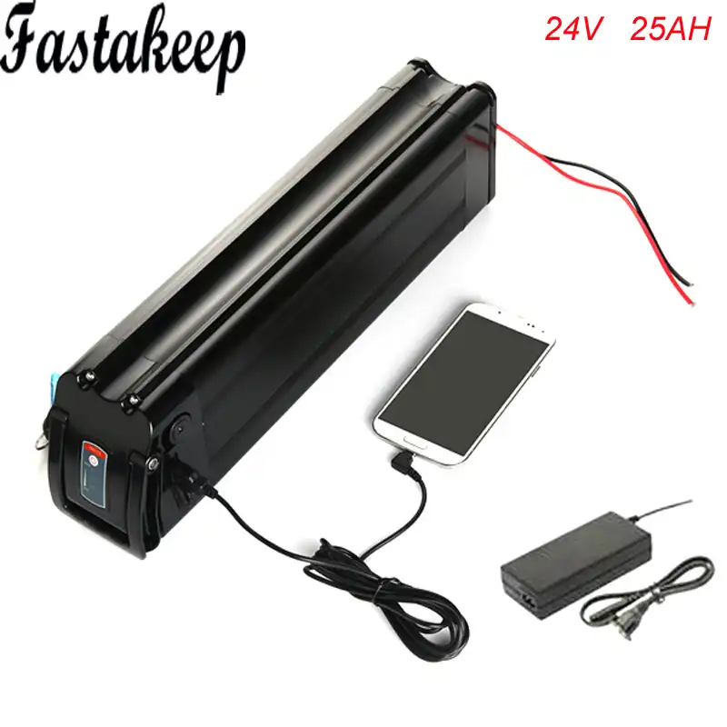 24 volt bicycle battery