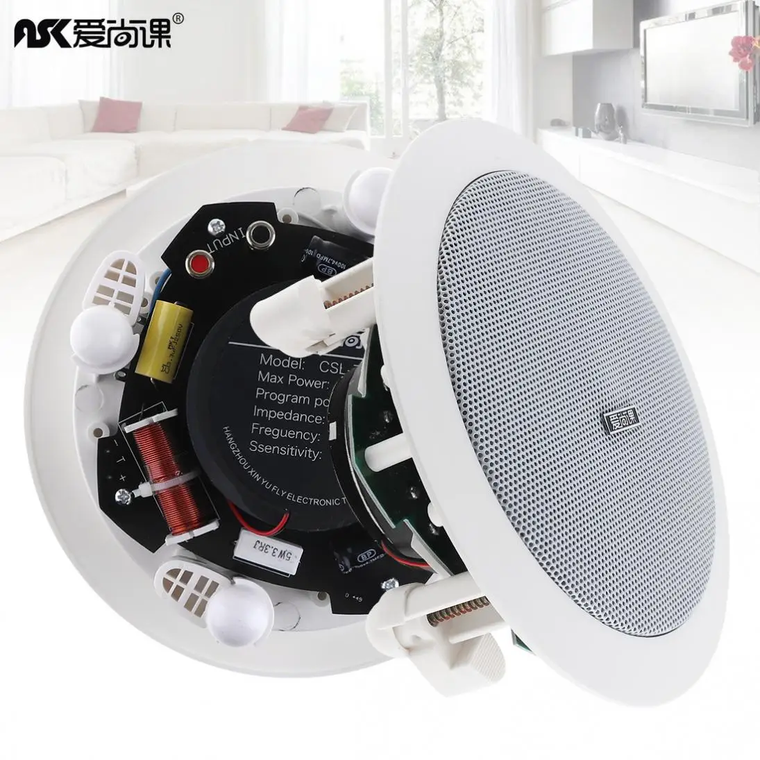 CSL 717 20W Coaxial Fixed Resistance Radio Ceiling Speaker ...