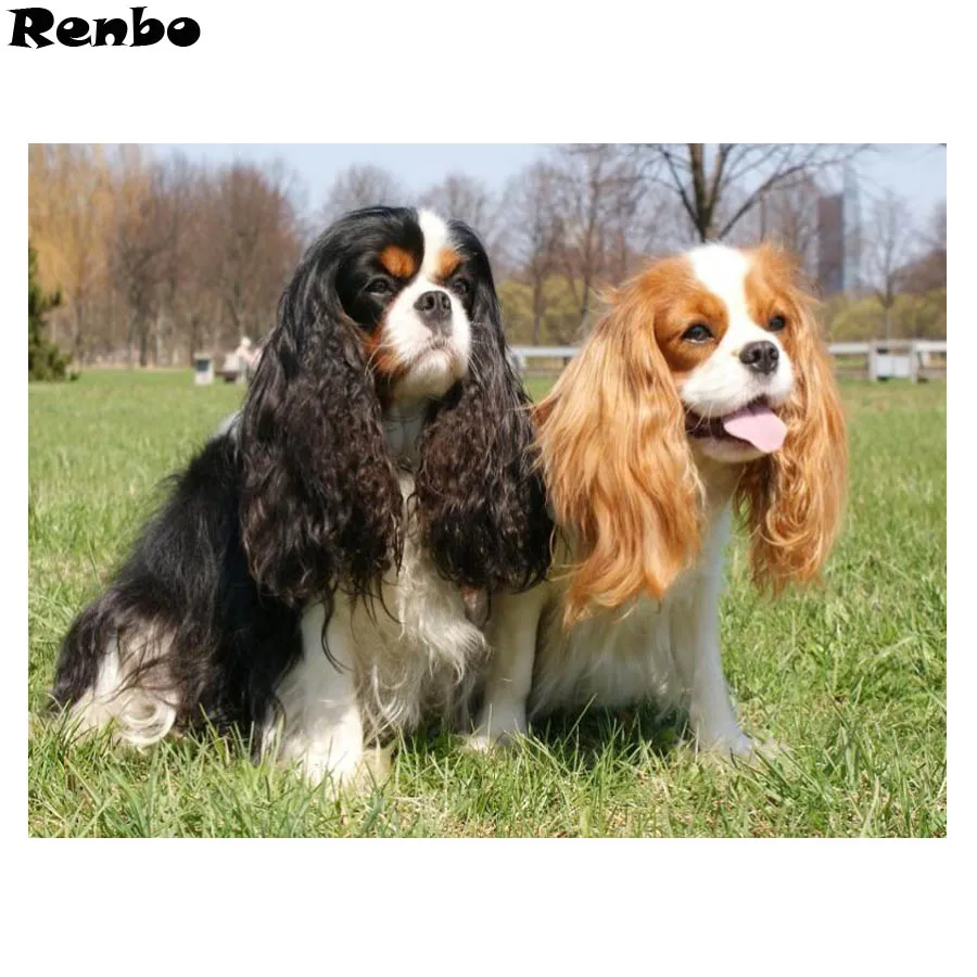 

5D Diamond Embroidery Cavalier King Charles Spaniel Diy Diamond Painting Cross Stitch Full Square Drill Diamond Mosaic Dog