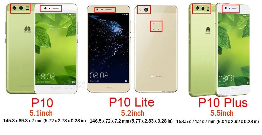 P10