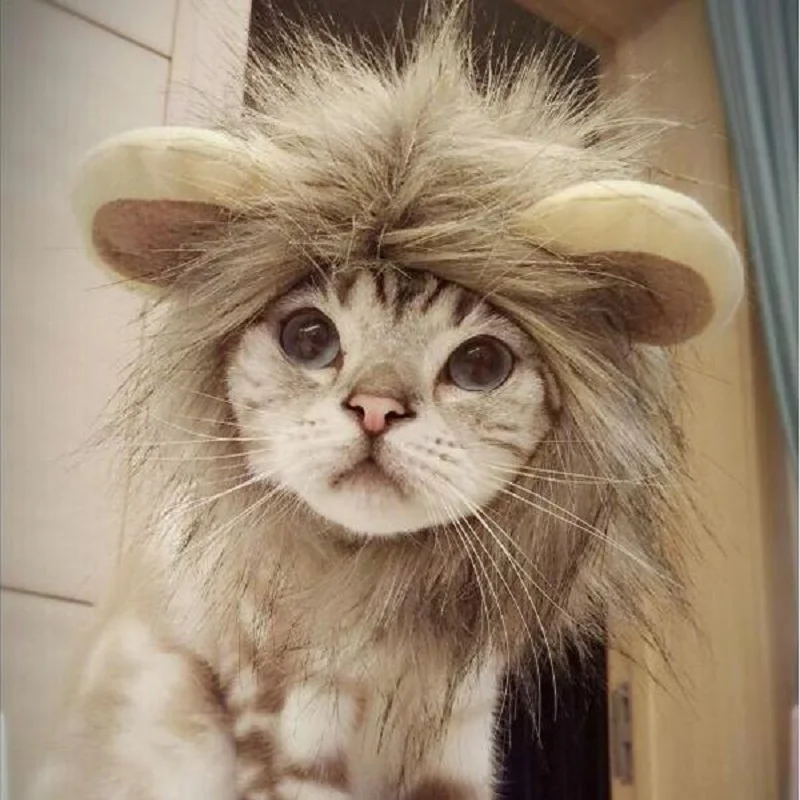 Милый Забавный милый костюм для домашних животных косплей парик льва шапка для кошки Хэллоуин Рождественская одежда нарядное платье с ушами осень