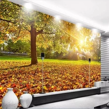Bester Preis Fur Herbst Baume Tapete Tolle Angebote Fur Herbst Baume Tapete Von Globalen Herbst Baume Tapete Verkaufern Auf Aliexpress