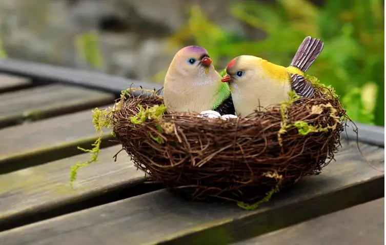 36020180403225426113