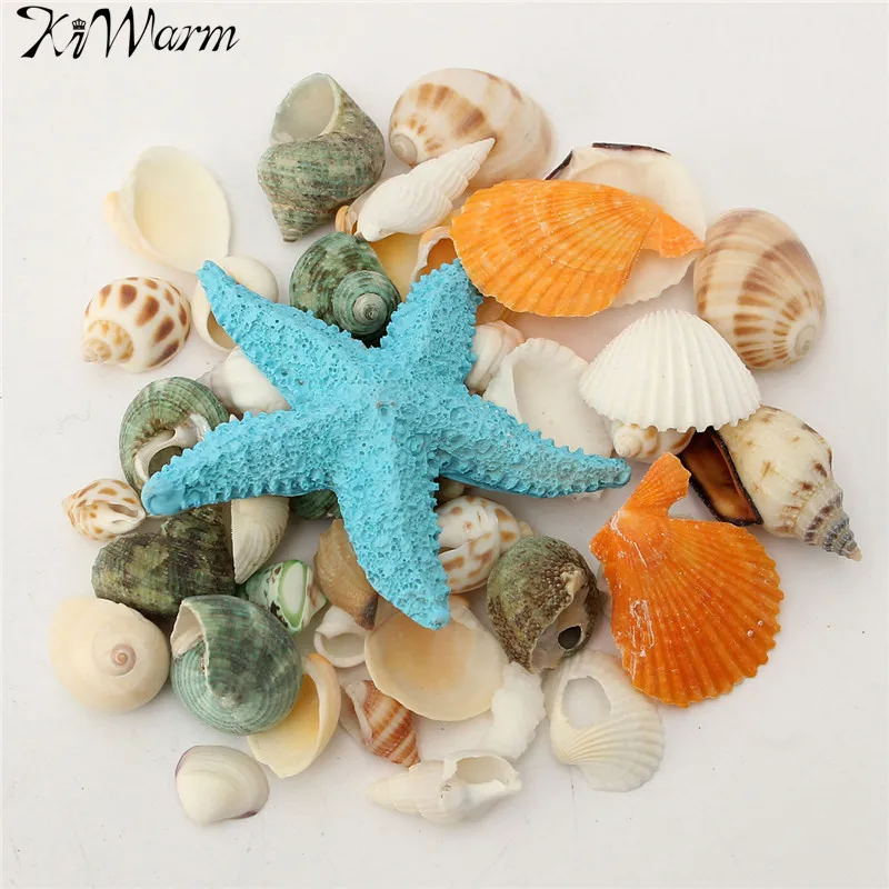 

KiWarm 1 Set Mediterranean style DIY Fashion Beach Mixed Seashells Mix Sea Shells Natural Crafts for Aquarium Fish Tank Decor